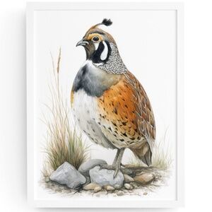 Watercolor Quail Wall Art Print, Unframed - Vibrant Nature-Inspired Home Decor